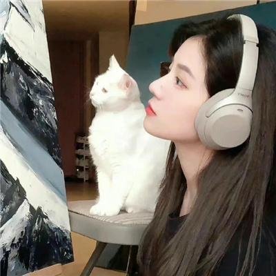 我来也大战四猛虎